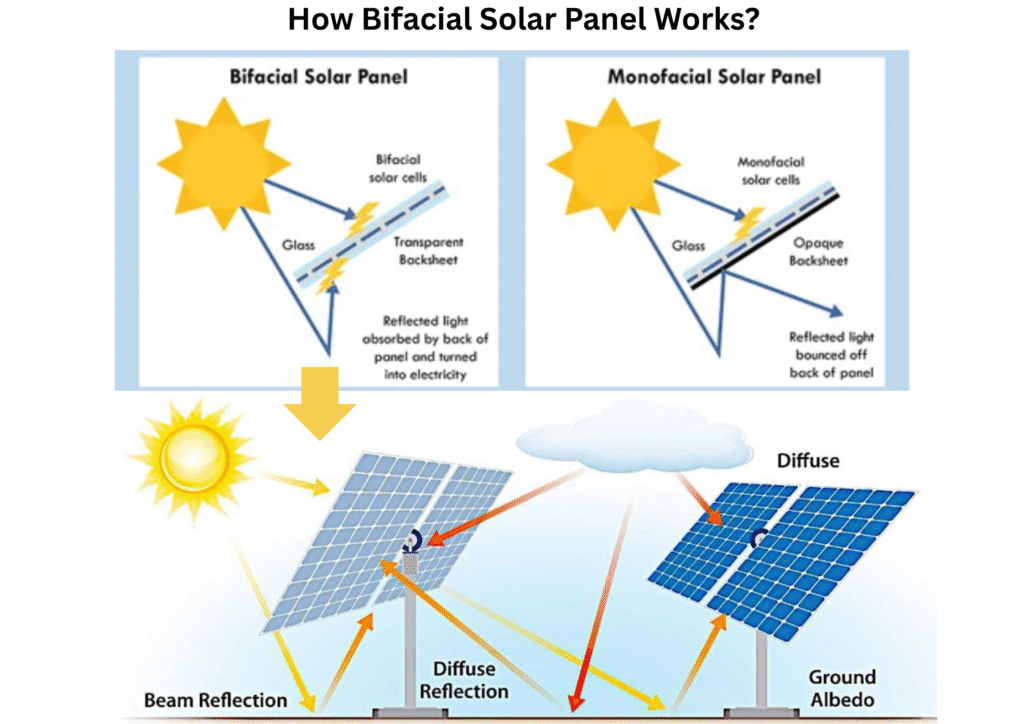 Bifacial Solar Panels