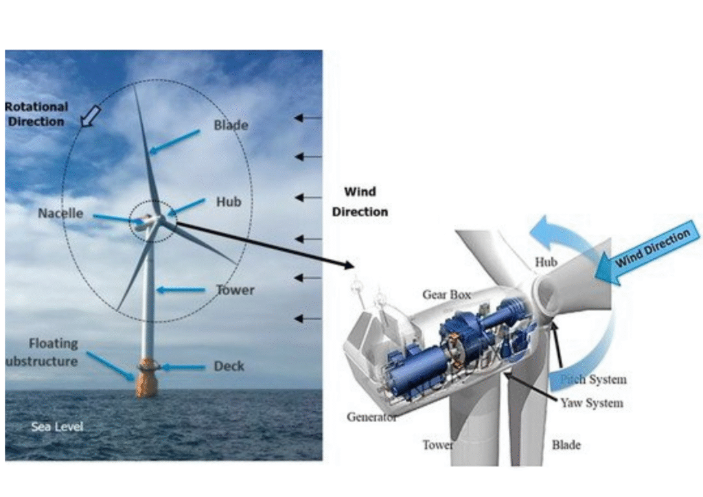 Offshore Wind Farms